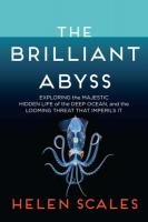 The Brilliant Abyss