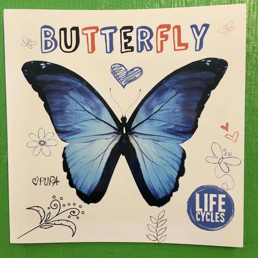 Butterfly: Life Cycles