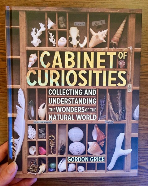 Cabinet of Curiosities: Collecting and Understanding the Wonders of the Natural World