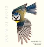 Close to Birds: An Intimate Look at Our Feathered Friends