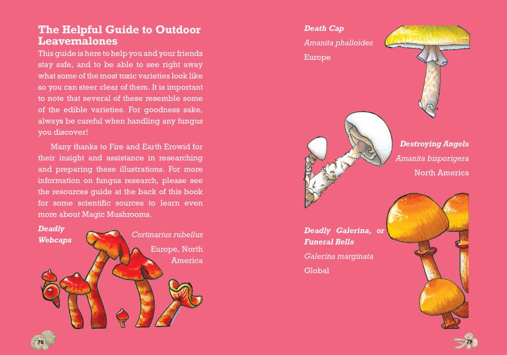 Cooking with Magic Mushrooms: The Psilocybin Cookbook image #4