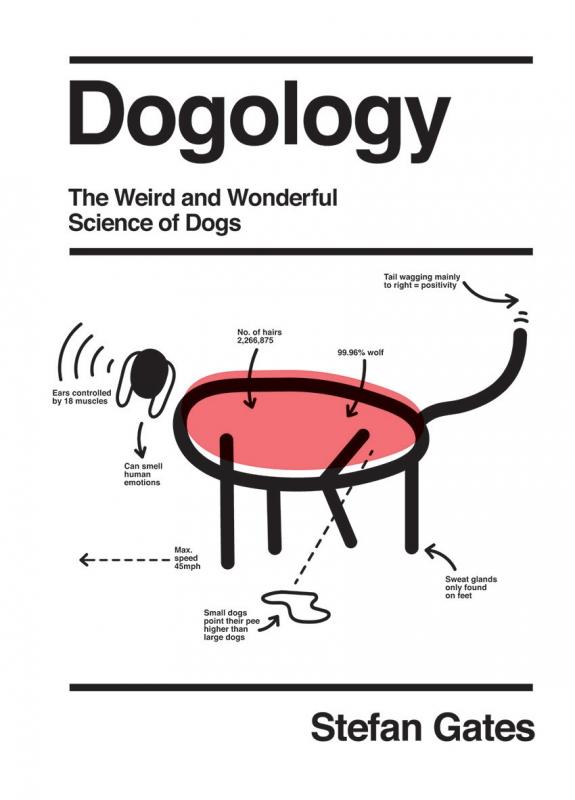 a stick figure dog with labels indicating various attributes