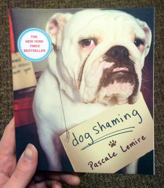 Dog Shaming by Pascale Lemire