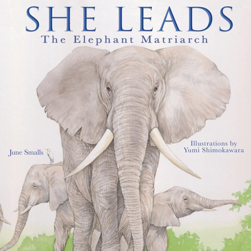 illustration of elephants with grey cover and grey text