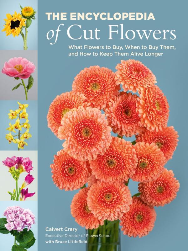 cut flowers