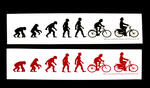 Sticker #300: Evolution Comfort