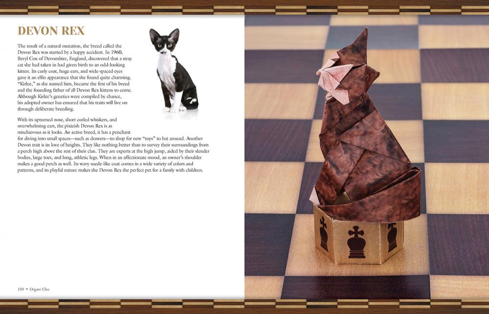 Origami Chess: Cats and Dogs image #3