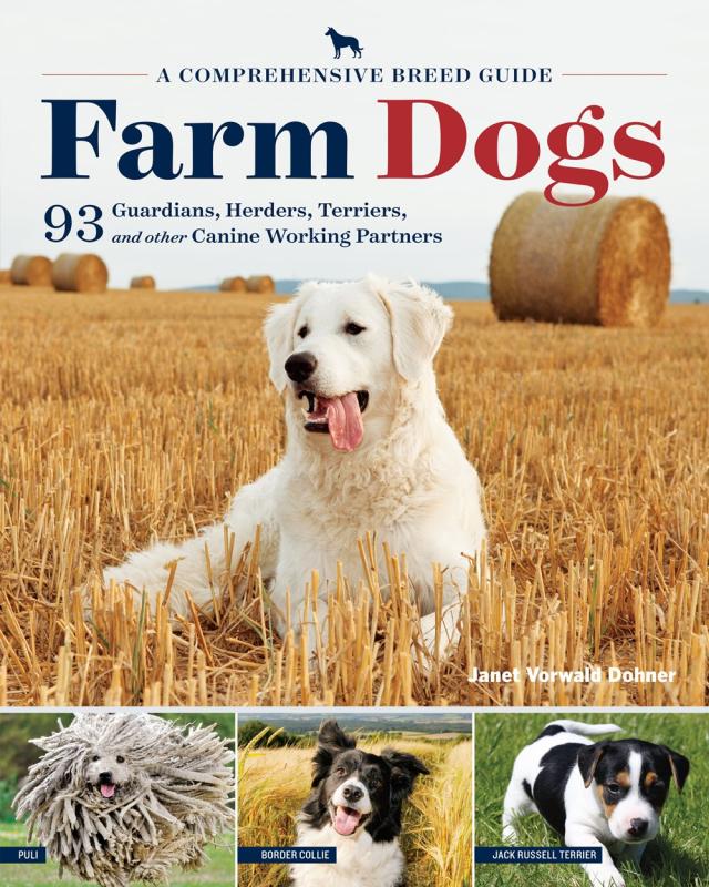 photos of happy farm dogs