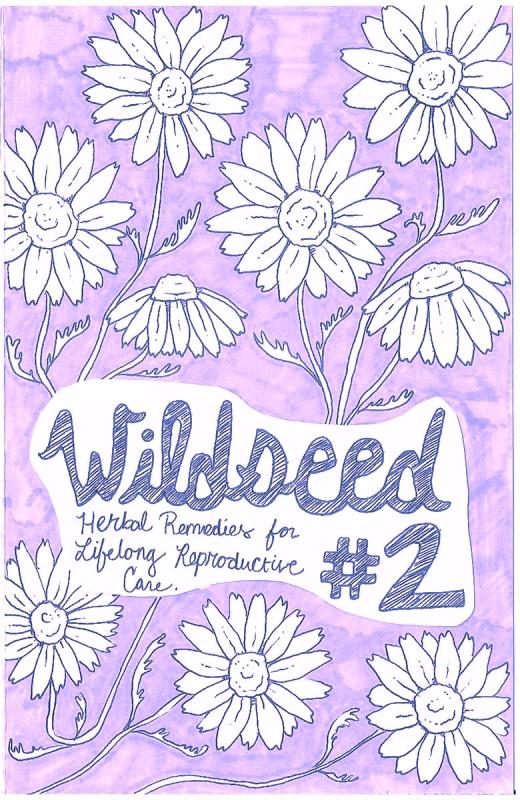 Wildseed Feminism #2: Herbal Remedies for Lifelong Reproductive Care