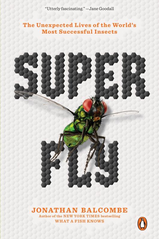 white cover with illustration of fly with black and red text