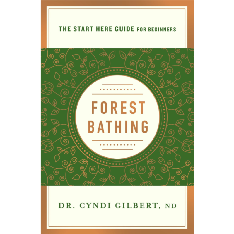 Forest Bathing: A Start Here Guide For Beginners