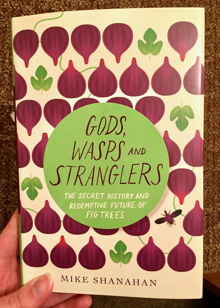 Gods, Wasps and Stranglers: The Secret History and Redemptive Future of Fig Trees