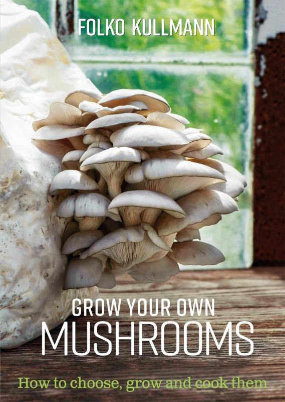 a photograph of a mushroom bloom on a wooden counter