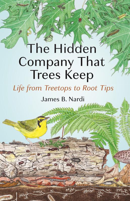 blue cover with illustration of a yellow bird in a tree with black and orange text