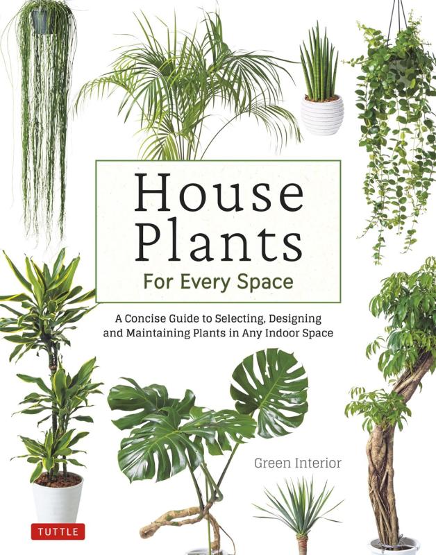 houseplants over white