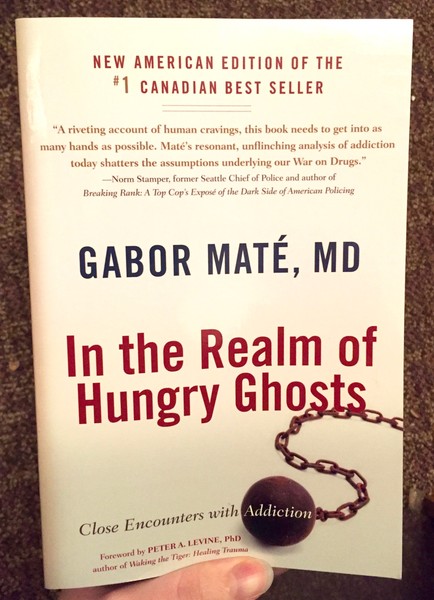 In the Realm of Hungry Ghosts: Close Encounters with Addiction