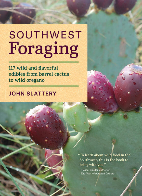 closeup of a prickly pear on cactus.