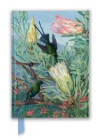 Marianne North: Honeyflowers And Honeysuckers Journal