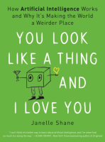 You Look Like a Thing and I Love You: How Artificial Intelligence Works and Why It's Making the World a Weirder Place