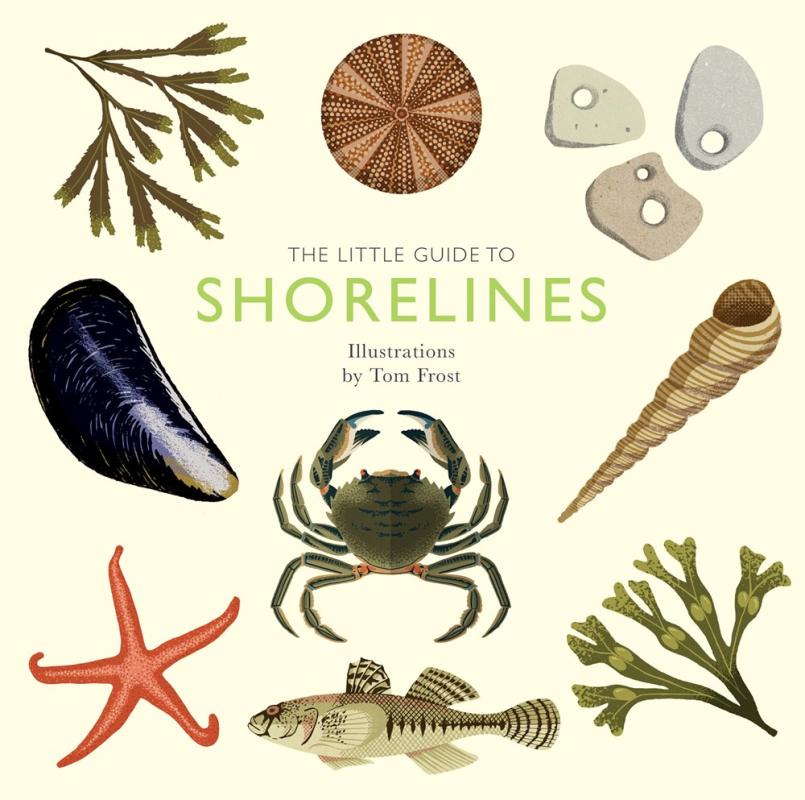 cream colored cover with various beach objects with green text