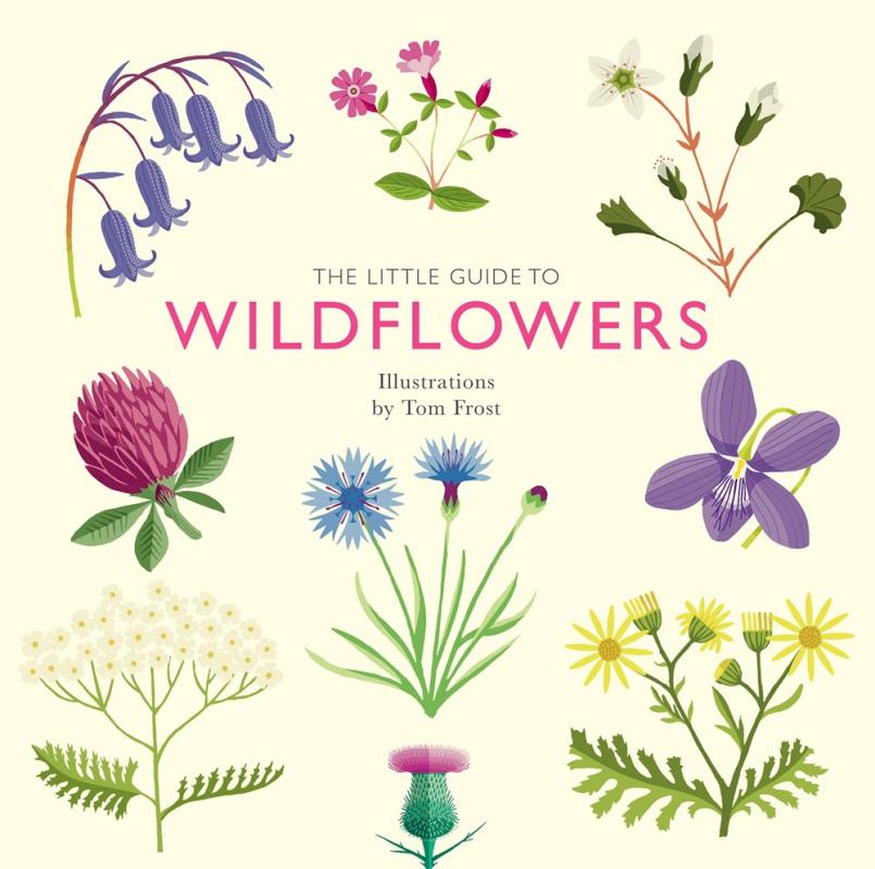 cream colored cover with various illustrated flowers with pink and blue text