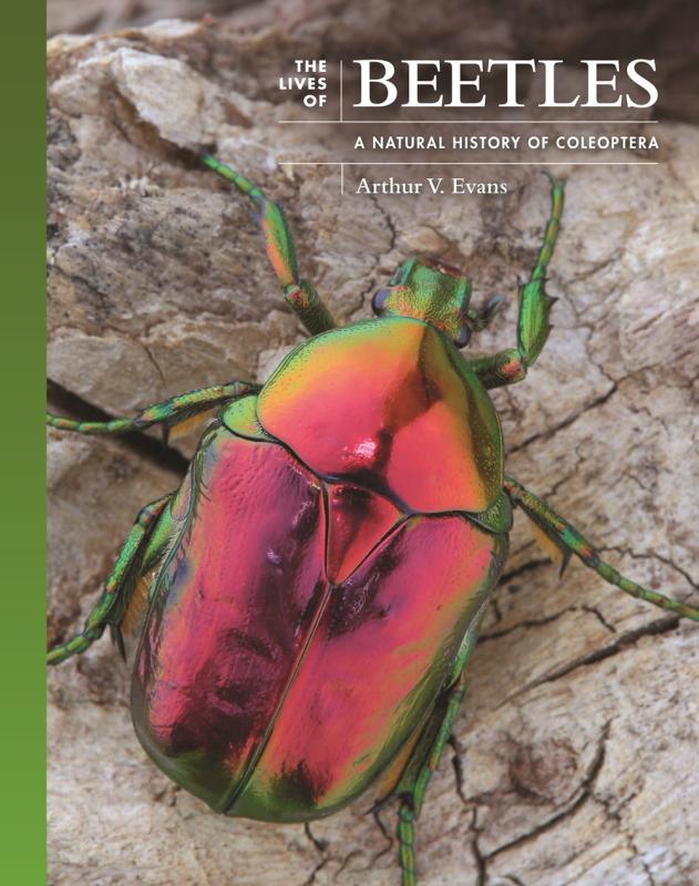 brown cover with green spine with extreme close up of an iridescent beetle