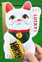 Lucky Cat