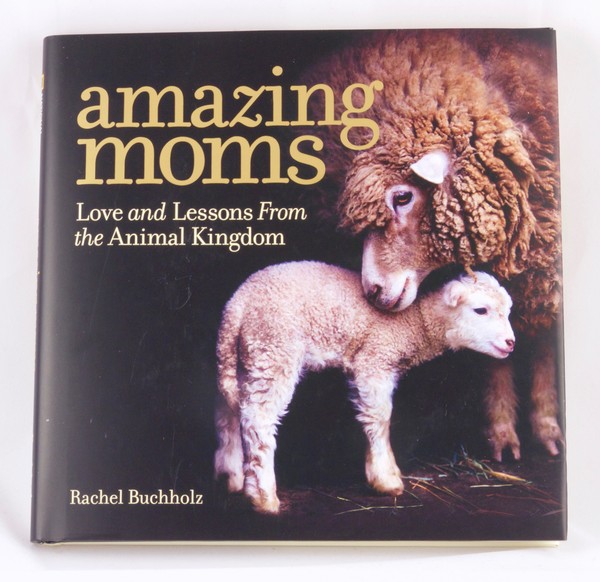 Amazing Moms: Love and Lessons From the Animal Kingdom