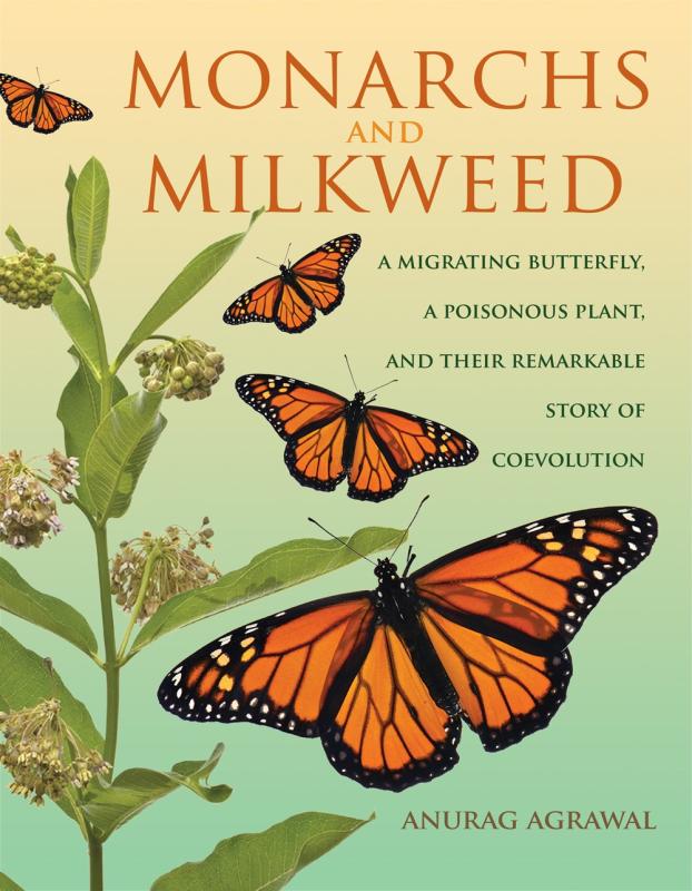 yellow fades to green cover with illustration of milkweed and butterflies with gold and green text