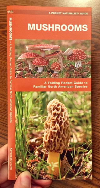 Mushrooms: A Folding Pocket Guide to Familiar North American Species