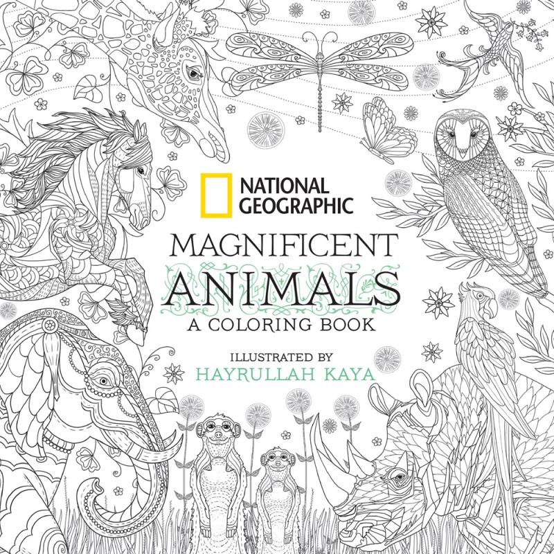 line art of animals from around the world