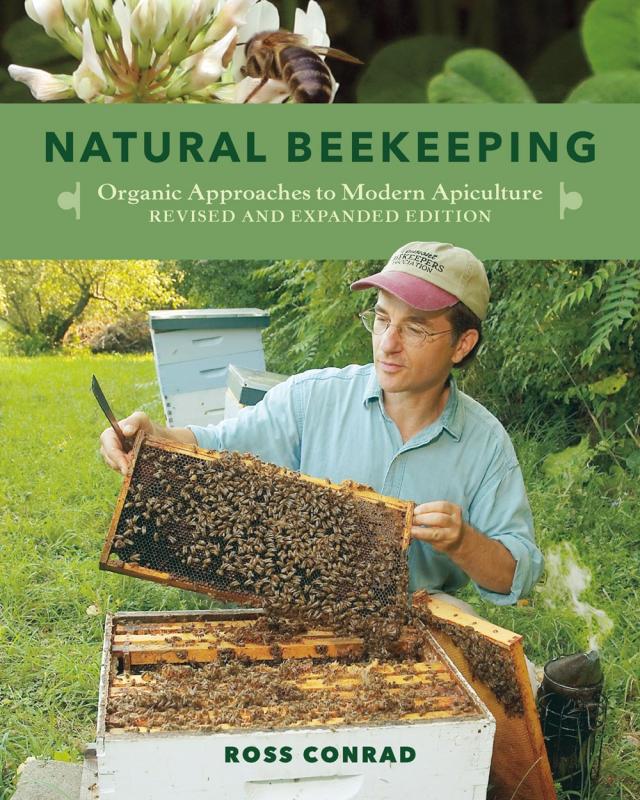 Man surrounded by greenery holding a honeycomb and bees from a bee box.