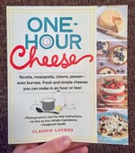 One-Hour Cheese