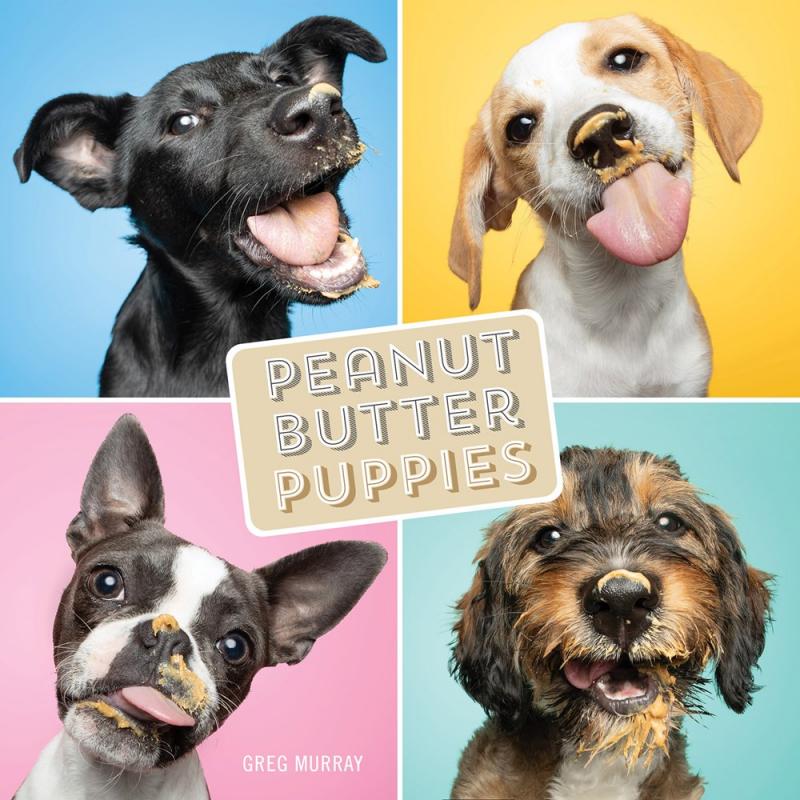 Cover with photos of puppies