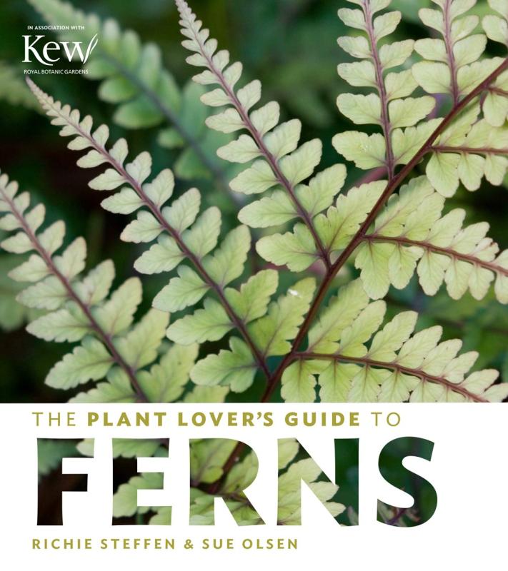 fern