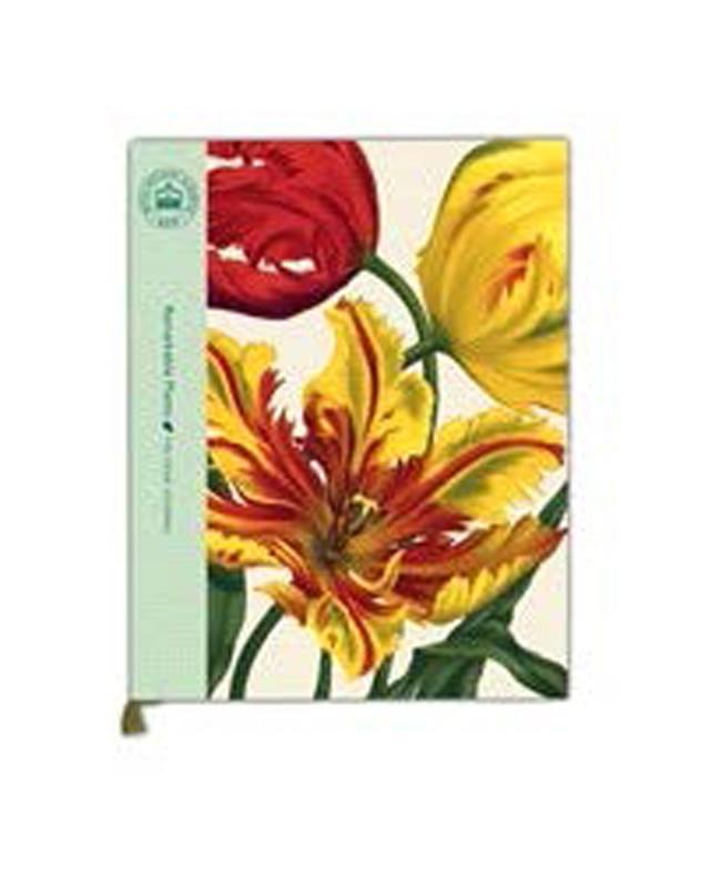 sample book over white with a cover featuring three flowers