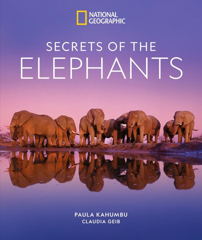 pack of elephants standing near a body of water with purple hue with white text