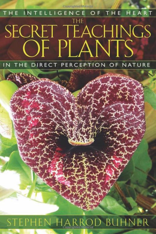 The Secret Teachings of Plants: The Intelligence of the Heart in the Direct Perception of Nature