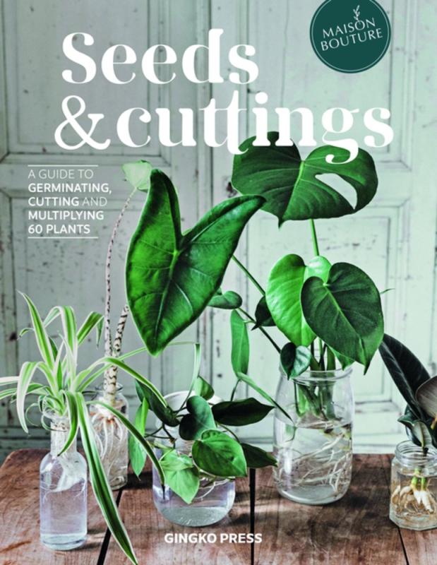 A photograph of several plant cuttings in jars, in a bright room