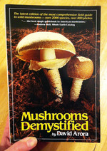 Mushrooms Demystified