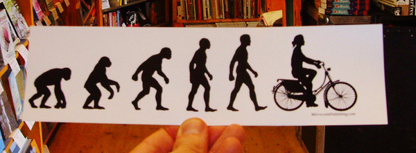 evolution cruiser vinyl sticker