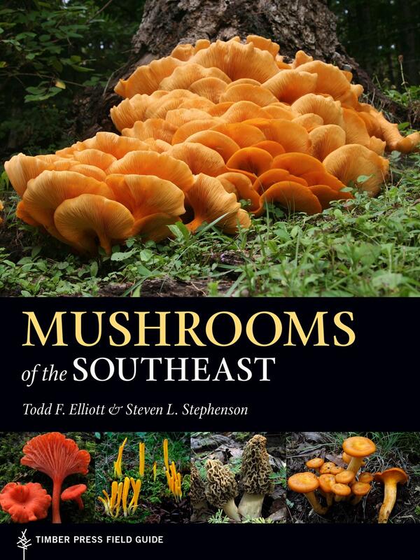 Mushrooms of the Southeast: Timber Press Field Guide