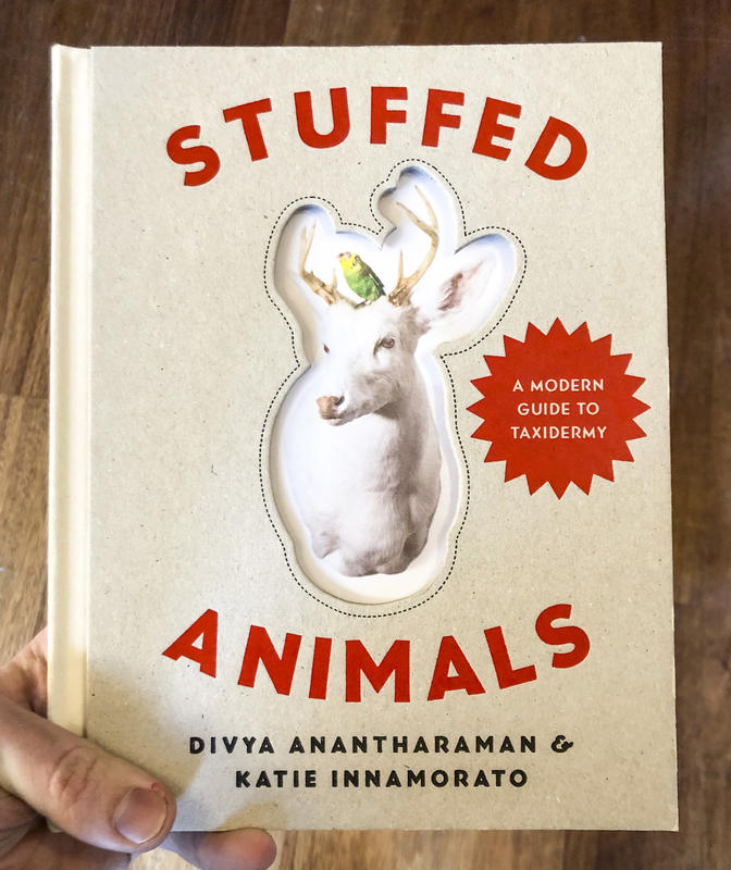 Stuffed Animals: A Modern Guide to Taxidermy