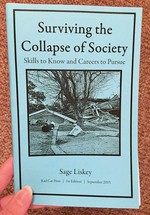 Surviving the Collapse of Society