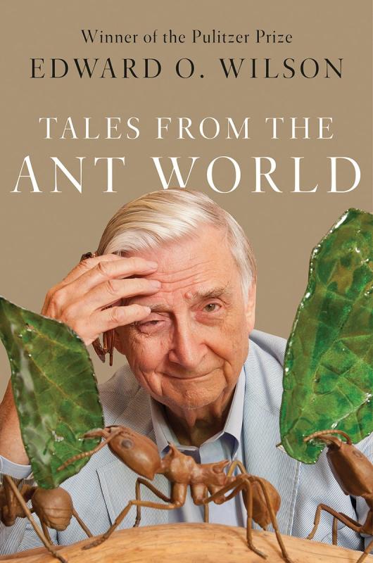 portrait of the author with upscaled large ants in a row