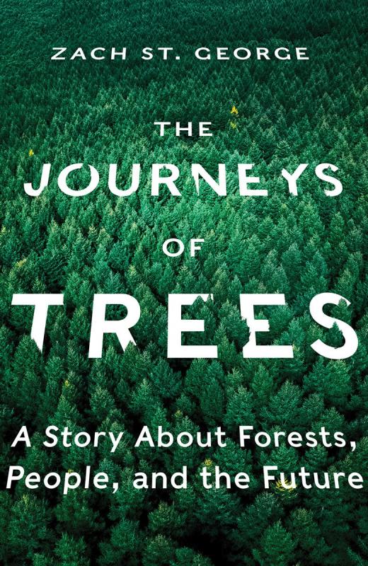 Cover depicts a photo of a pine forest from above with the title and author name in a white font.