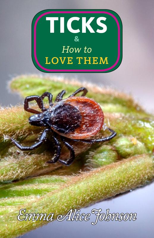 a tick on a leaf