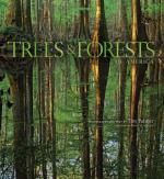 Trees & Forests of America