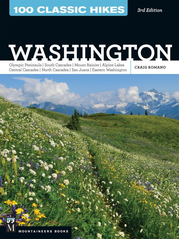 a photo of a green, wildflower-filled field, with a snow-capped mountain in the background