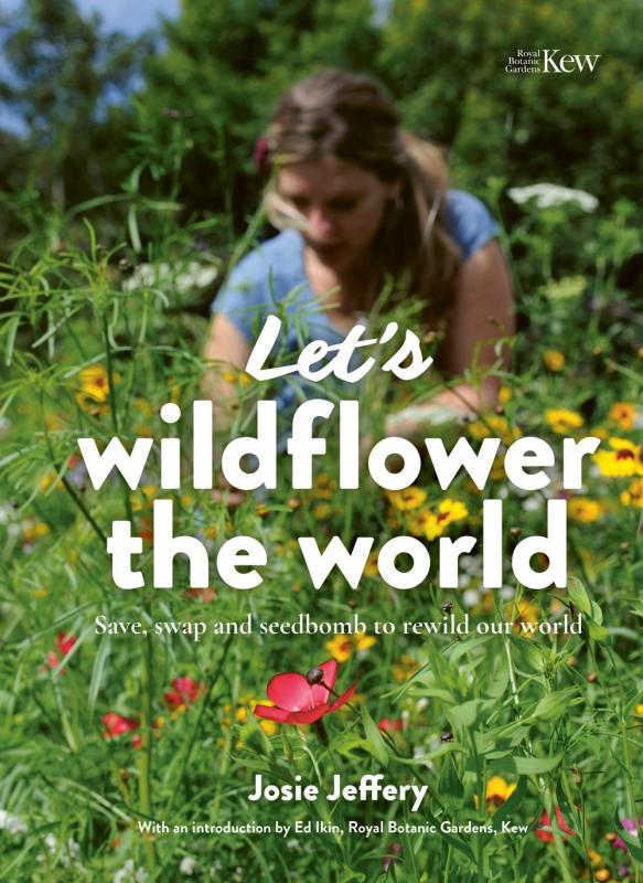 Wildflowers and foliage with a blurred person in the background